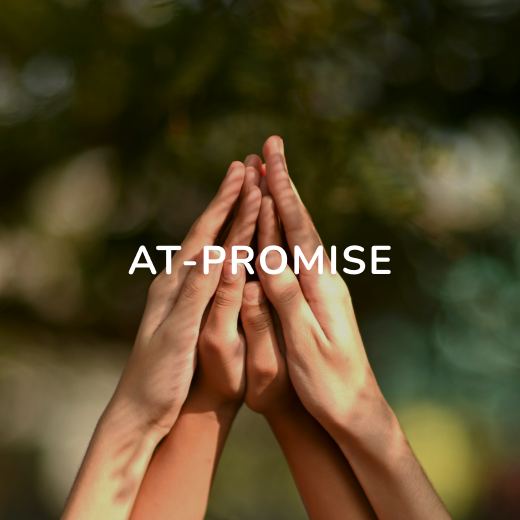 At-promise.png